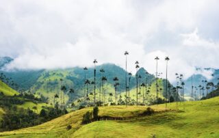 15 Canciones folclóricas colombianas (c) pexels.com