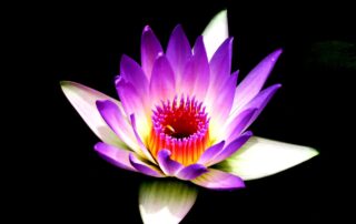 Frecuencia 1111 Hz - Para qué sirve​